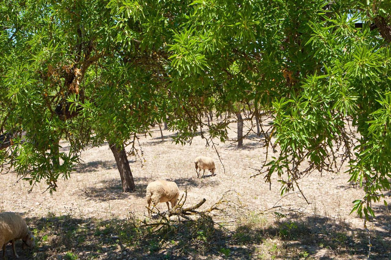 Вилла S'Hort De Son Caulelles - Adults Only Marratxi Экстерьер фото