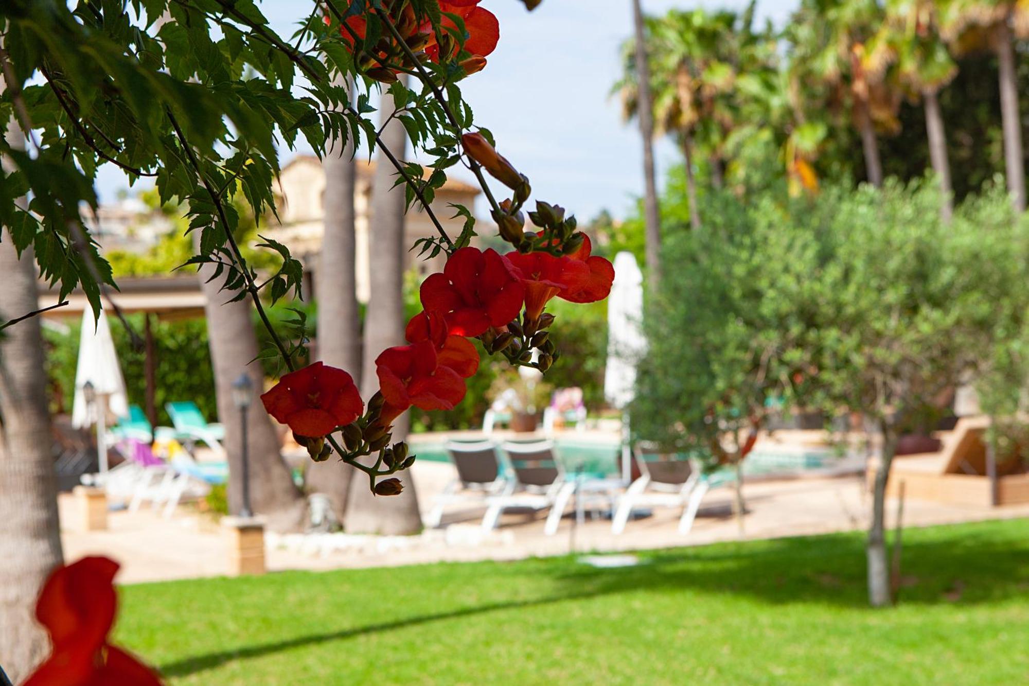 Вилла S'Hort De Son Caulelles - Adults Only Marratxi Экстерьер фото